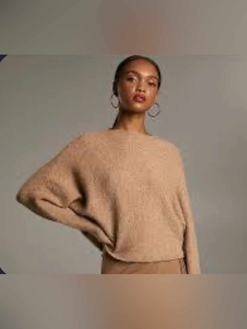 ARITZIA Babaton Cropped Wool Alpaca Blend Crewneck Sweater